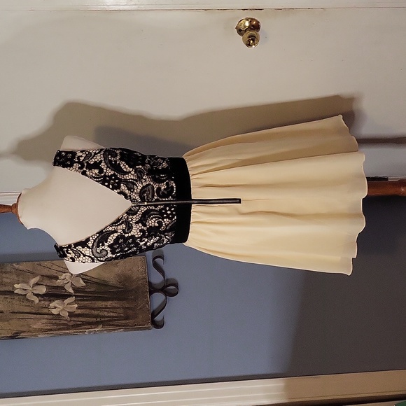 Fancy Black Lace Ivory Dress Sleeveless VNeck US 6 Back Zip - Picture 4 of 5